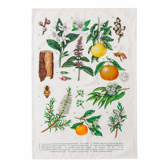 Terra Botanica Tea Towel by Koala eco