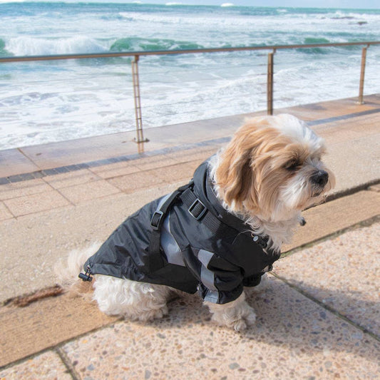 Louie Living Black Raincoat -Small