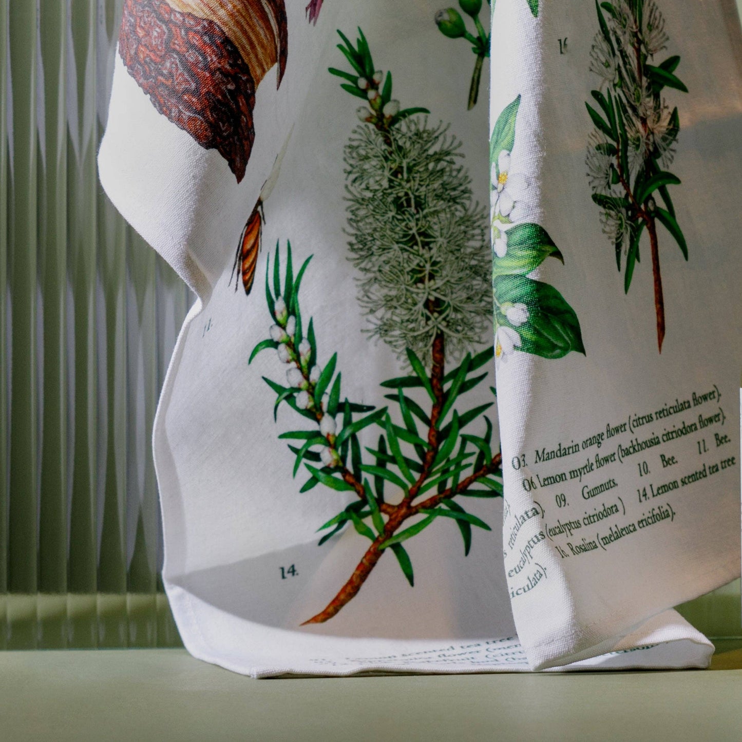 Terra Botanica Tea Towel by Koala eco