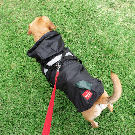 Louie Living Black Raincoat -XL