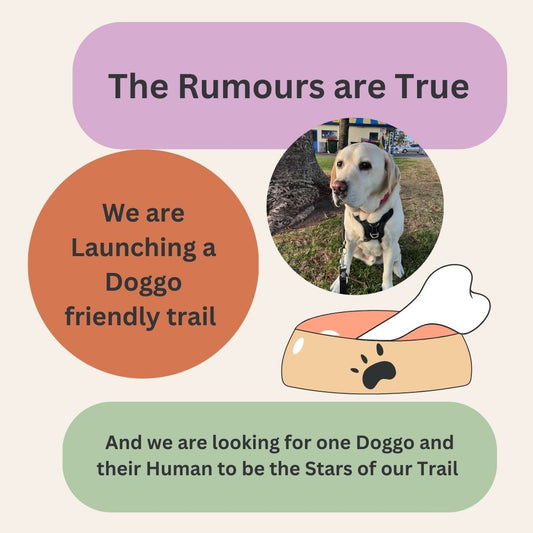 Sema- Paws - Dog Friendly Picnic Trail