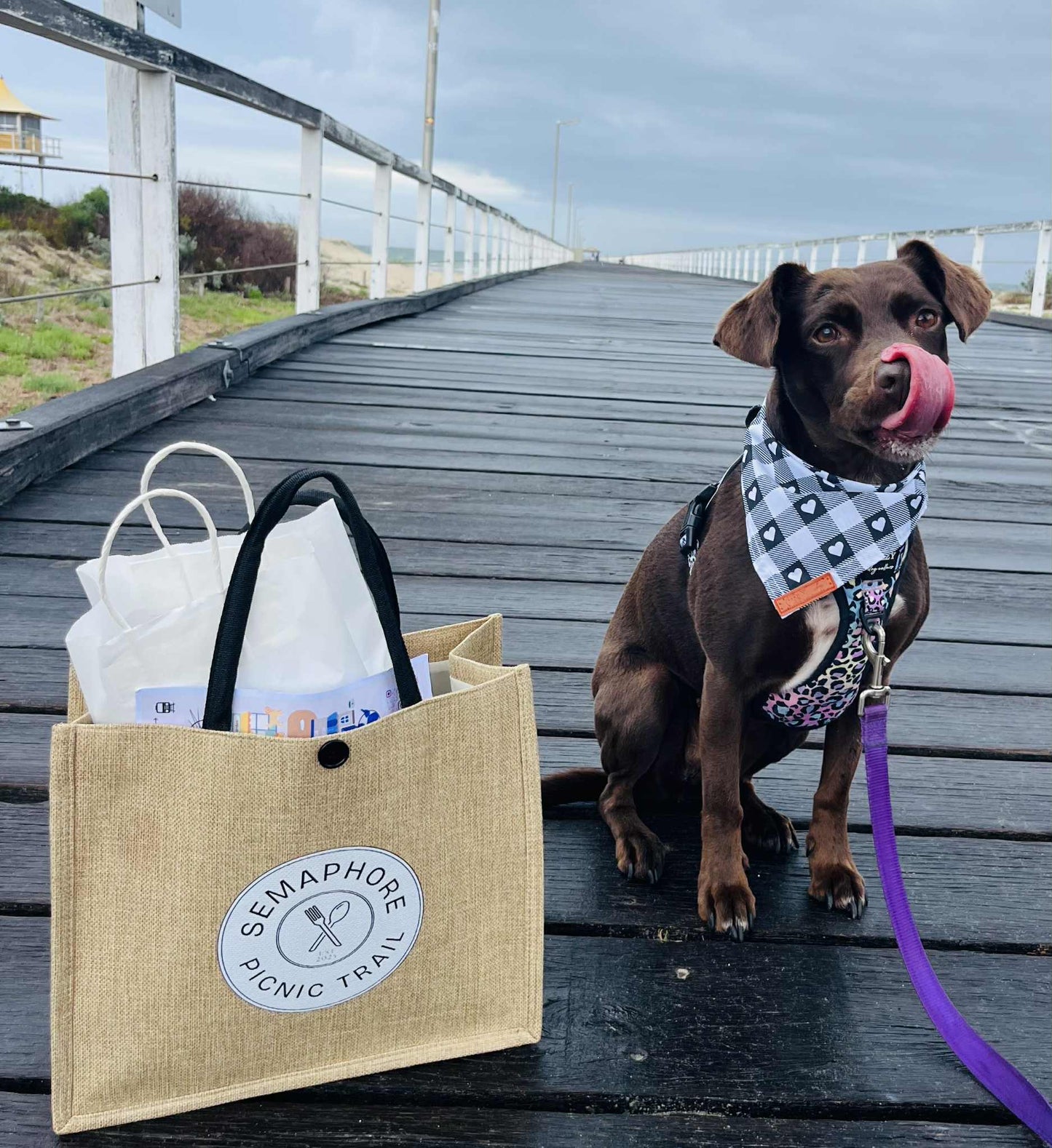 Sema- Paws - Dog Friendly Picnic Trail