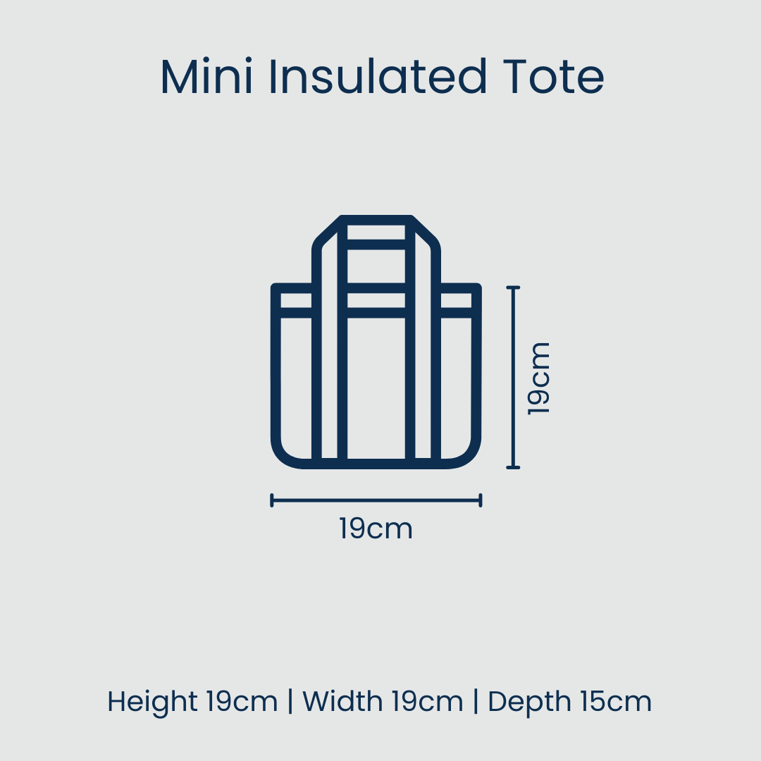 Mini insulated tote dimensions on a light blue background