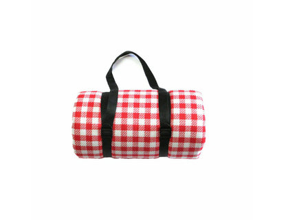 Picnic Rug - Checkers
