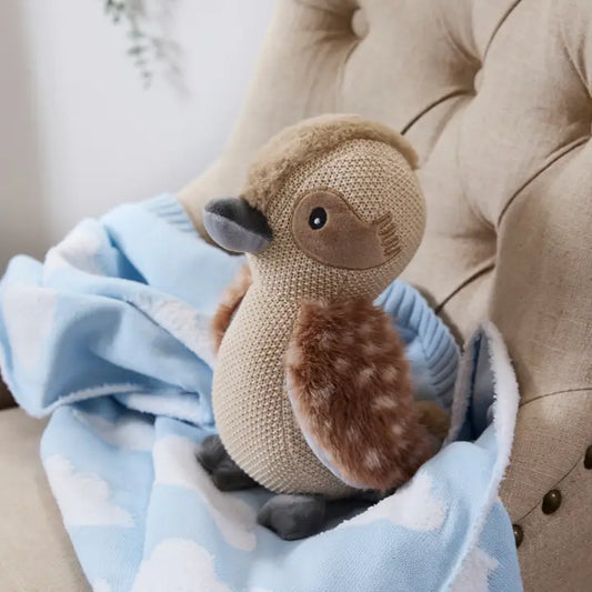 Blue Cloud Blanket