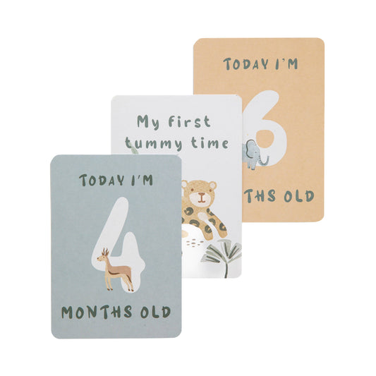 Set of milestone cards for a baby's first year with animal illustrations and text.