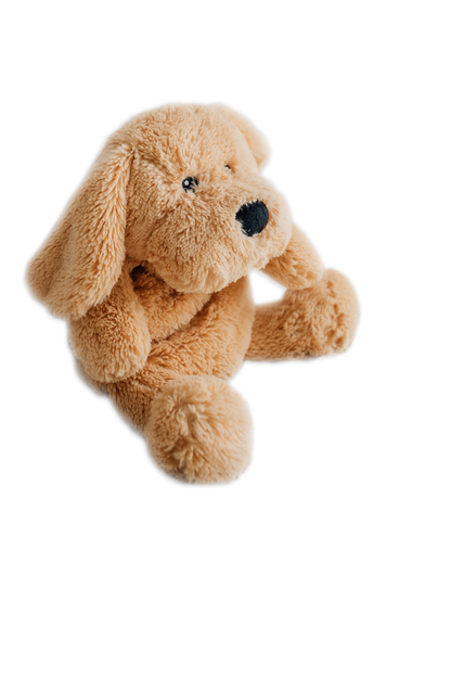 Charlie the Weighted Puppy Dog